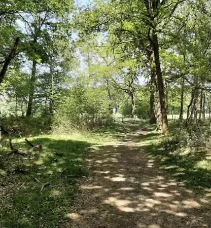 Safarihuisje Met Airco! Oisterwijk