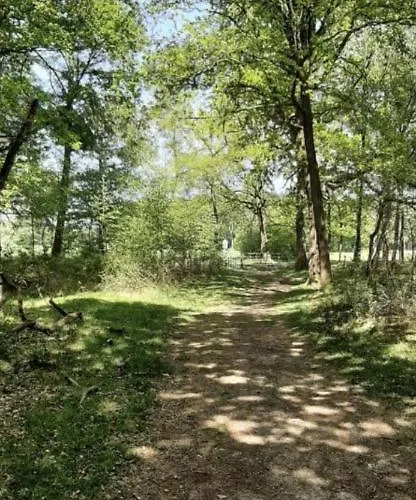 Safarihuisje Met Airco! Ойстервейк